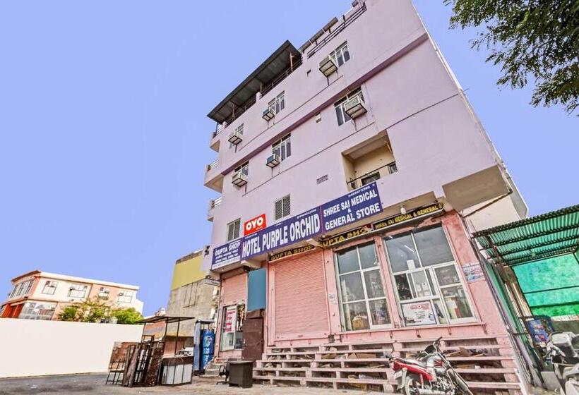 Oyo Hotel Purple Orchid