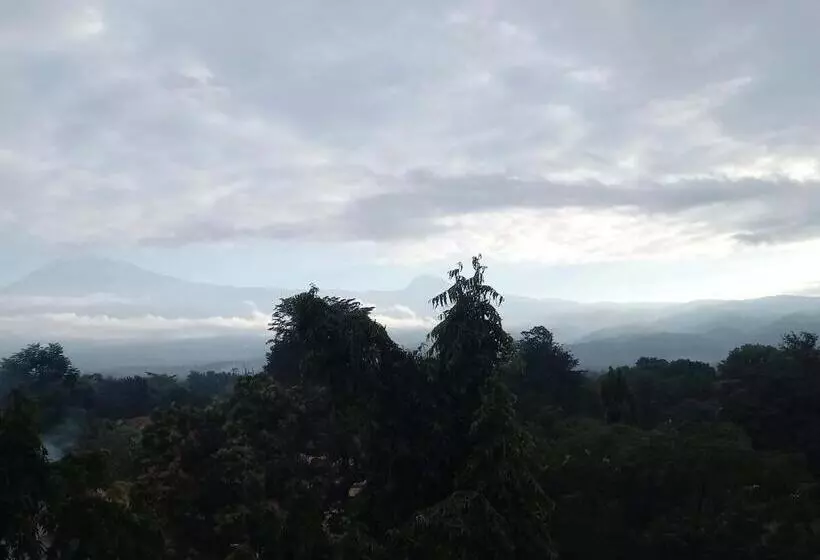 تختخواب و صبحانه Hilton Hil Mountain View