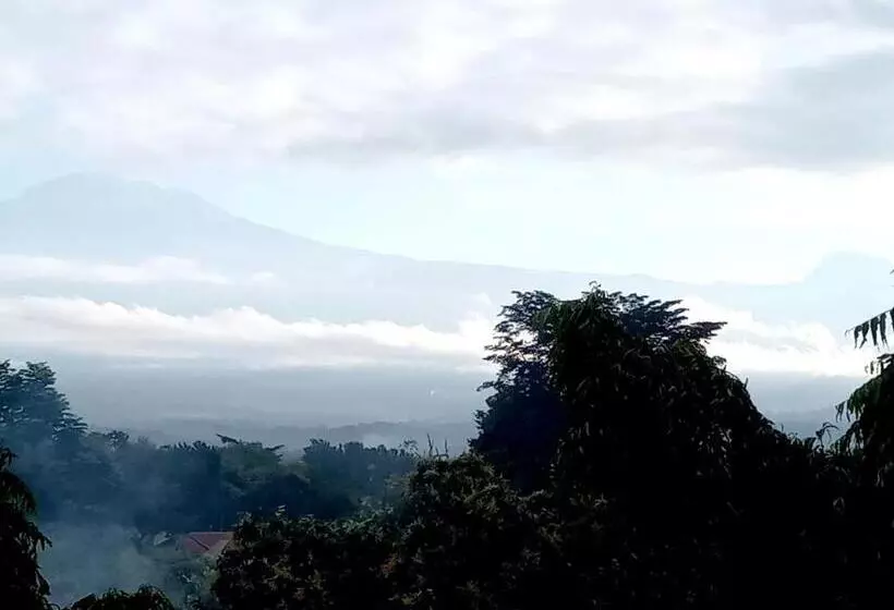 تختخواب و صبحانه Hilton Hil Mountain View