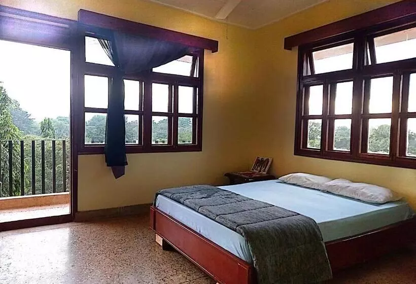 تختخواب و صبحانه Hilton Hil Mountain View