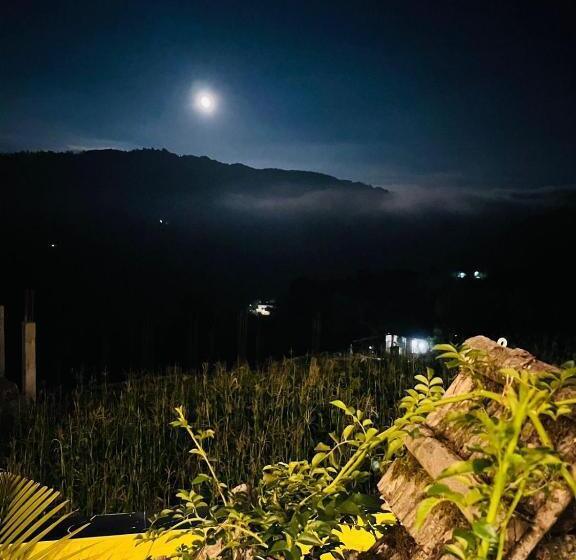 Bed and Breakfast Sukoon Boutique