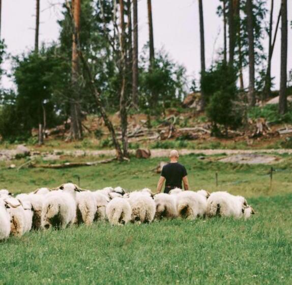 酒店 Snällfäll Country Living   åkerbo Gård Charmigt Renoverad Flygel