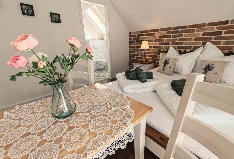 Pension Elisoria Superiors