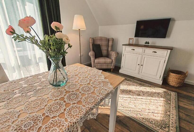 Pension Elisoria Superiors