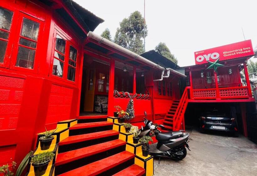 Retkeilymaja Bloom Inn