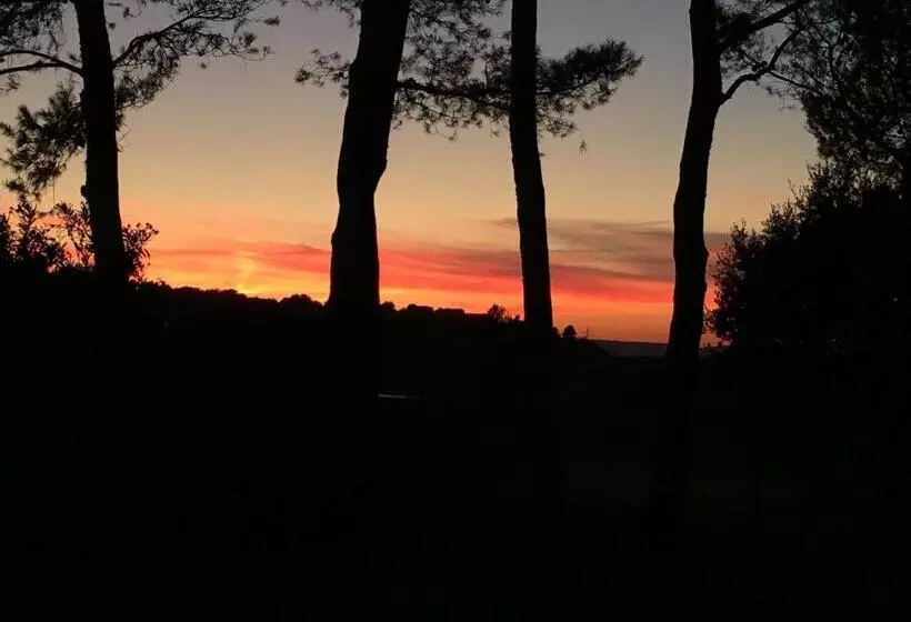 Aamiaismajoitus (B&B) Maison De Golfeur