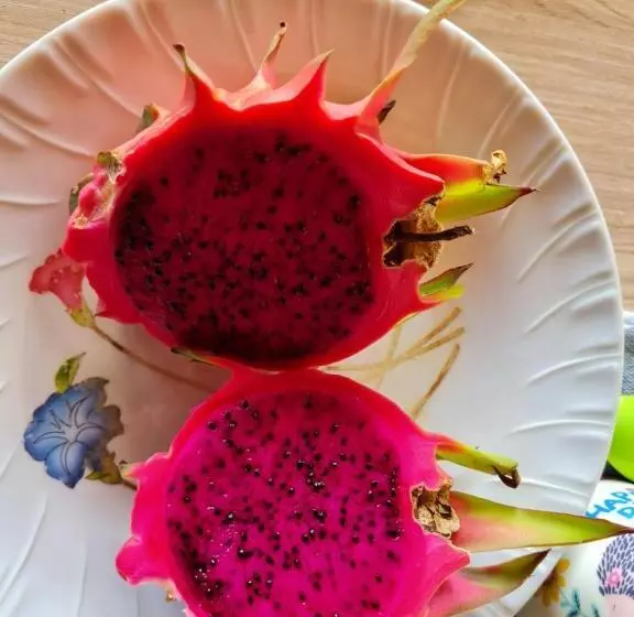 پانسیون Bois Gournable