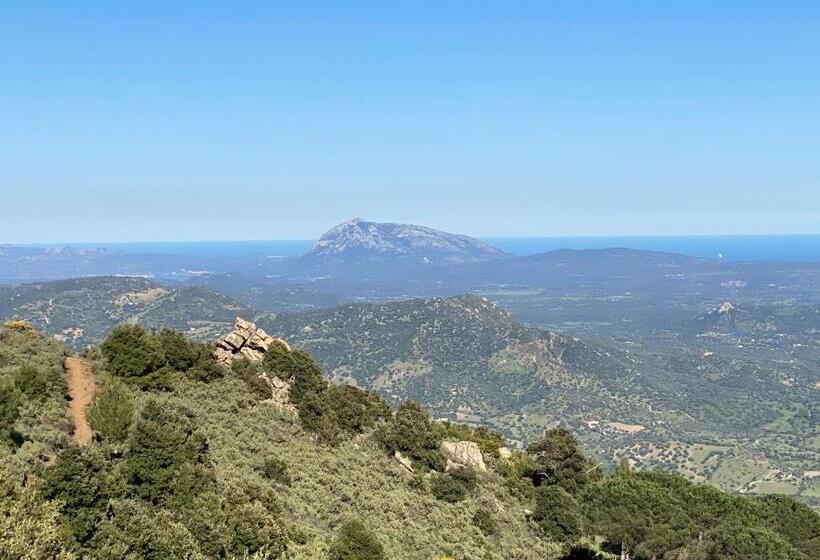 펜션 Carrales Guest House