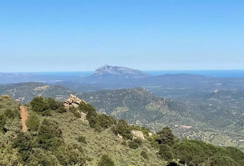 پانسیون Carrales Guest House