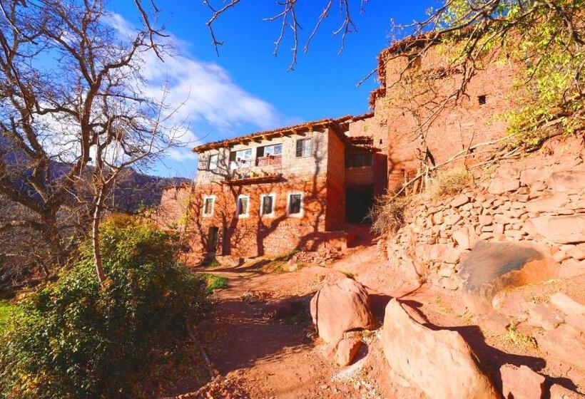 Pension (Hôtel basse catégorie) Dar Megdaz