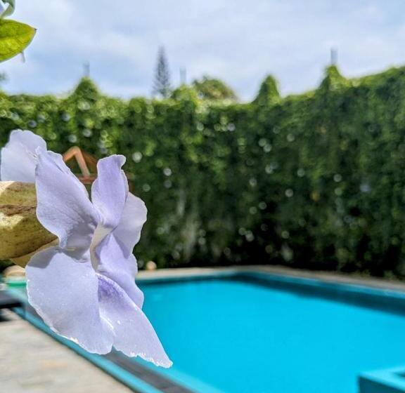 بنسيون Losu Polhena