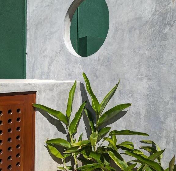 بنسيون Losu Polhena