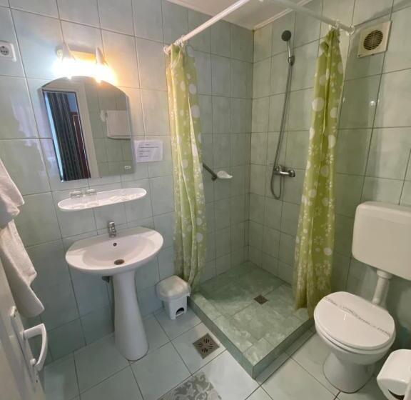 تختخواب و صبحانه Pensiunea Olt Centrum Olt Centrum Panzio