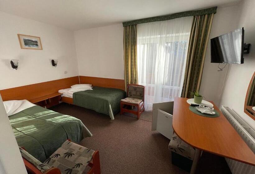 تختخواب و صبحانه Pensiunea Olt Centrum Olt Centrum Panzio