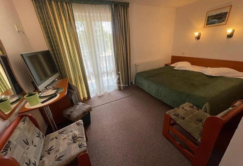 تختخواب و صبحانه Pensiunea Olt Centrum Olt Centrum Panzio