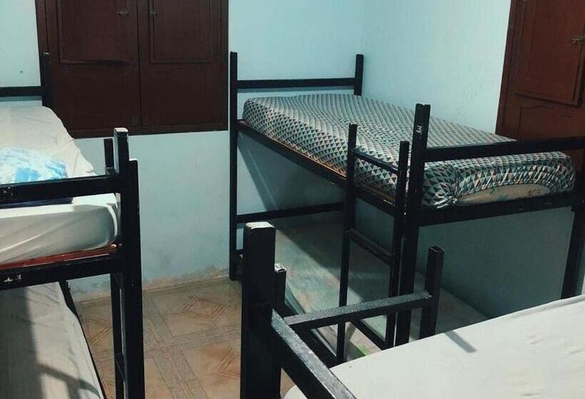 Caminhos Do Mar Hostel