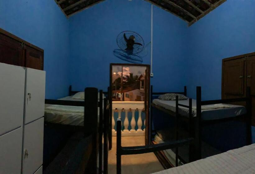 Caminhos Do Mar Hostel