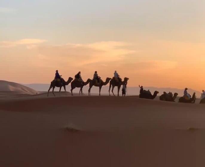Hotel Sahara Trips Camp
