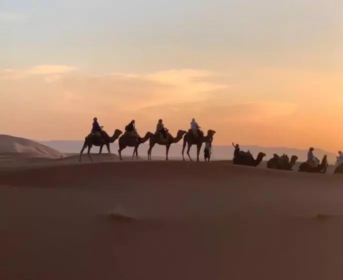 هتل Sahara Trips Camp