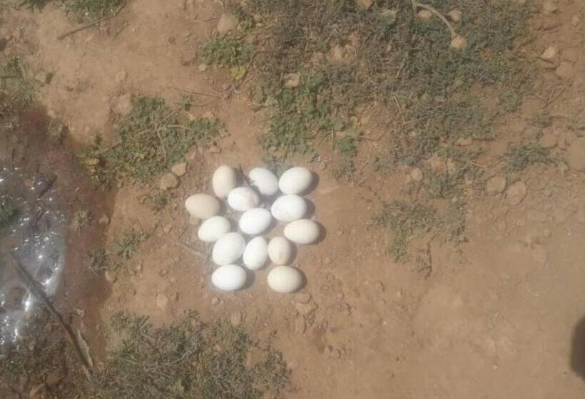 Hotel Villa Générosité