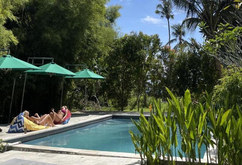 Pedidi Penida Hostel