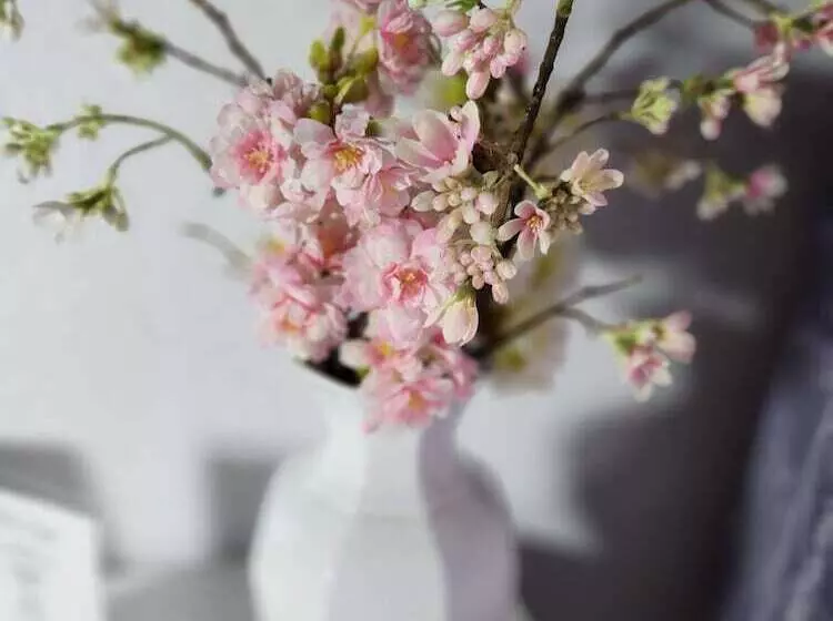 Majatalo Room In Guest Room   City Hotel   Double Room 117