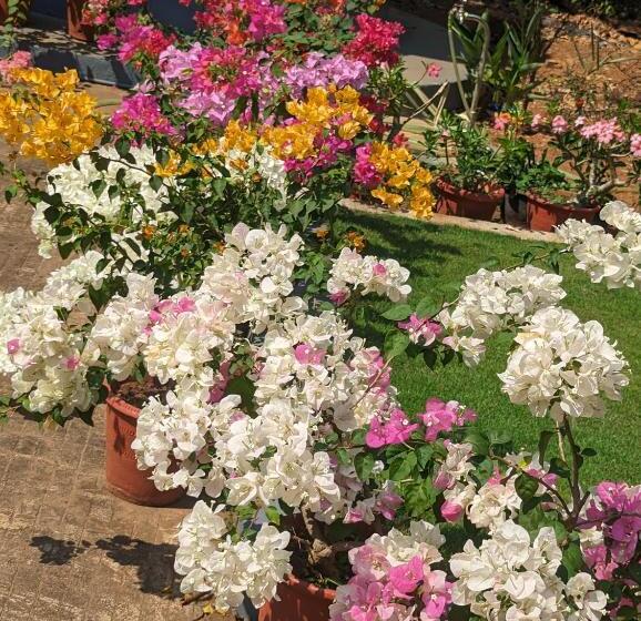 צימר Hill Top Homes