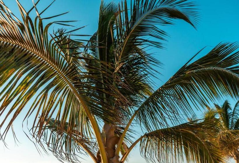 호텔 Beso De Sal Resort