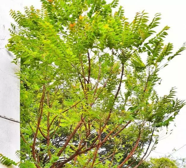 هتل Revive Inn Pondy   Rooms & Villa