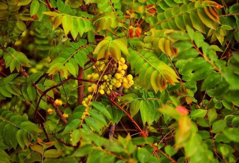 هتل Revive Inn Pondy   Rooms & Villa