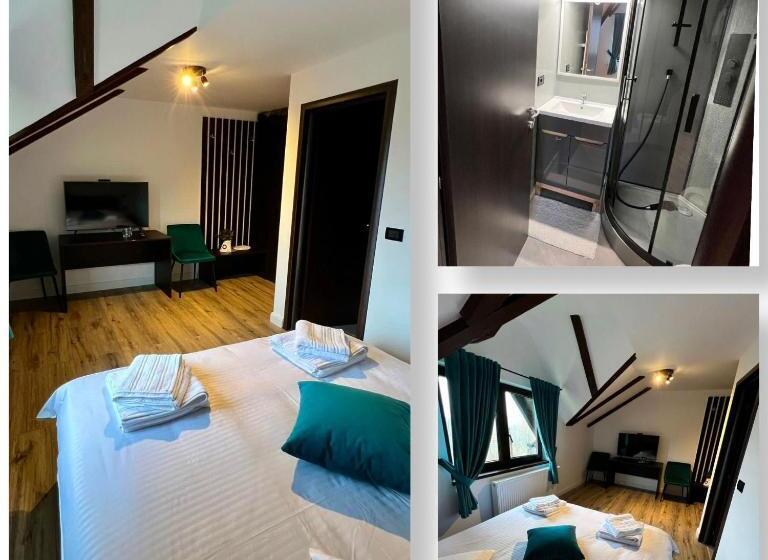 Pensiunea Lacul Arșiței