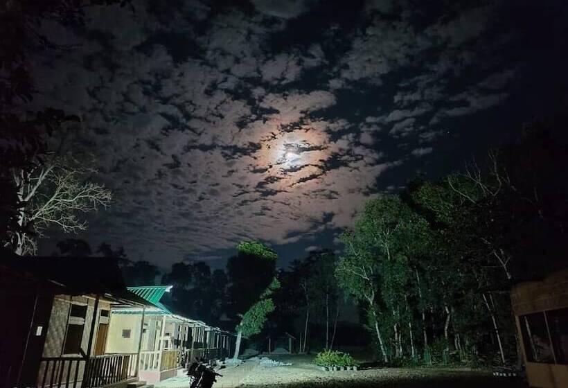 渡假胜地  Habitas Rhino By Nature Hunt