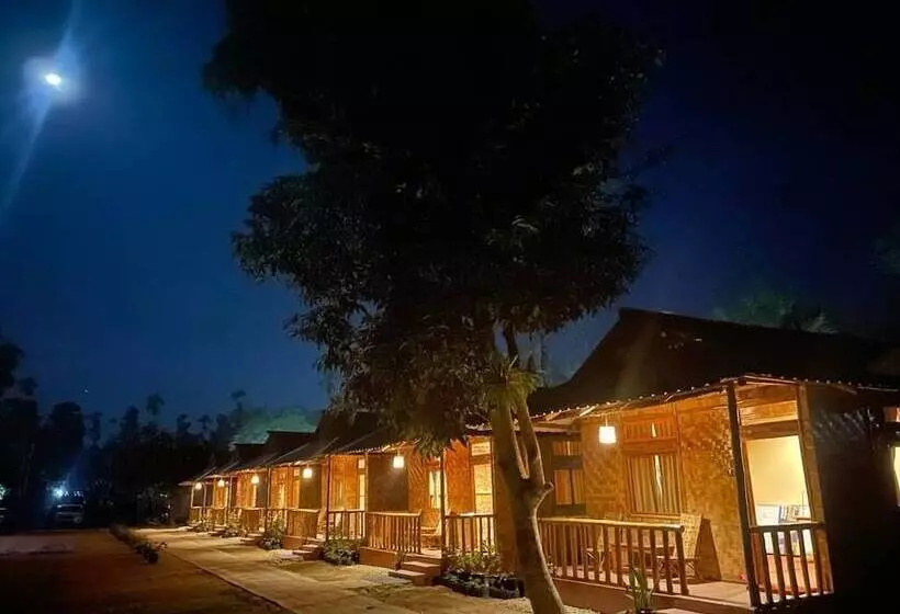 Lomakeskus Habitas Rhino By Nature Hunt