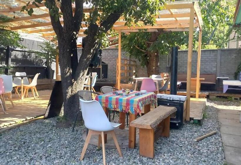 تختخواب و صبحانه Espacio Mycelium