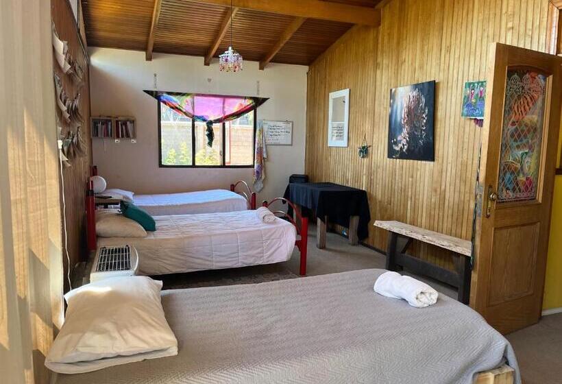 تختخواب و صبحانه Espacio Mycelium