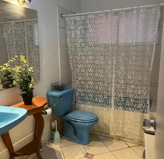 تختخواب و صبحانه Espacio Mycelium