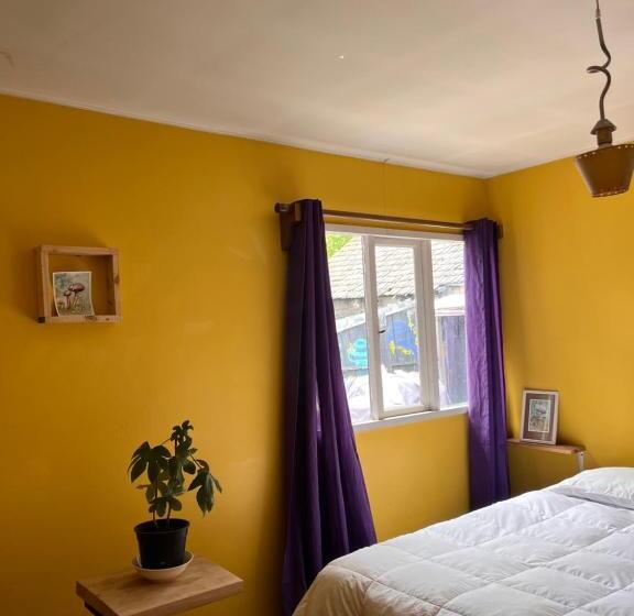 تختخواب و صبحانه Espacio Mycelium