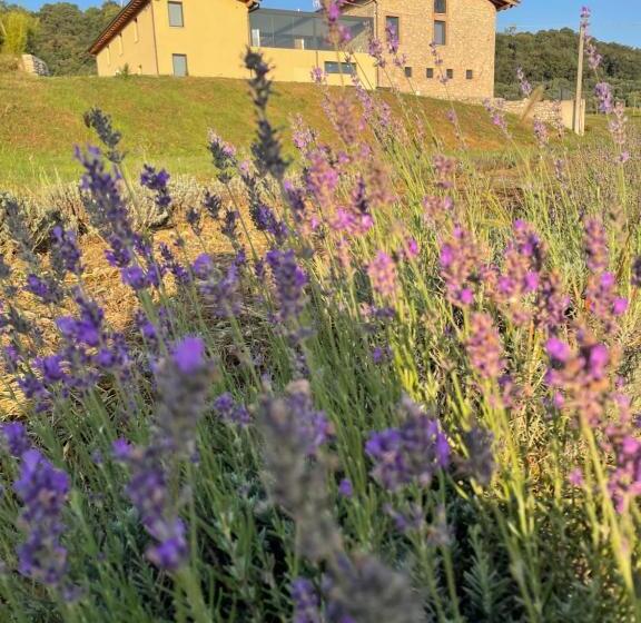 호텔 Agriturismo Al Mancino