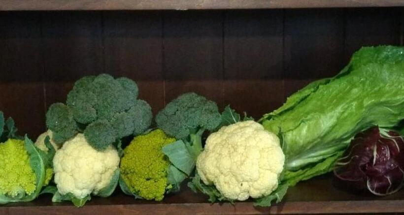 בית מלון כפרי Agriturismo Al Mancino