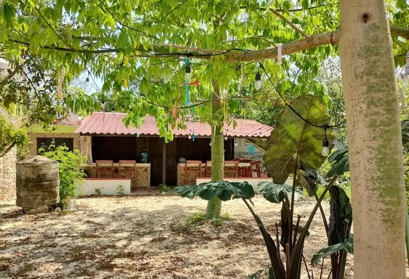 ホテル Y Museo Aldea Maya Toktli Orígenes Casa Maya Del Toloque Coronado Alberca, Wifi Starlink, Tour M