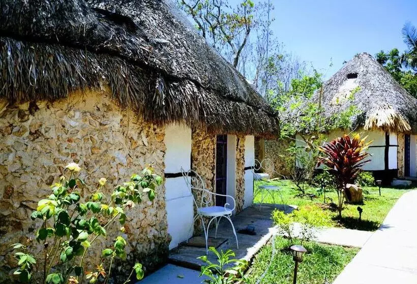 ホテル Y Museo Aldea Maya Toktli Orígenes Casa Maya Del Toloque Coronado Alberca, Wifi Starlink, Tour M