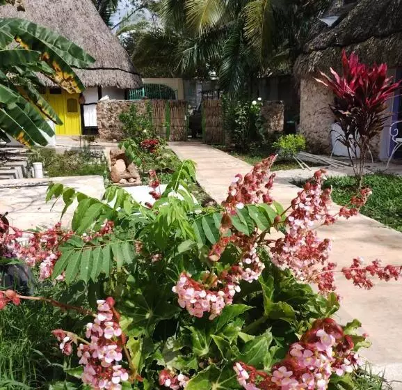 ホテル Y Museo Aldea Maya Toktli Orígenes Casa Maya Del Toloque Coronado Alberca, Wifi Starlink, Tour M