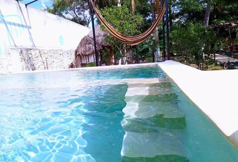 ホテル Y Museo Aldea Maya Toktli Orígenes Casa Maya Del Toloque Coronado Alberca, Wifi Starlink, Tour M