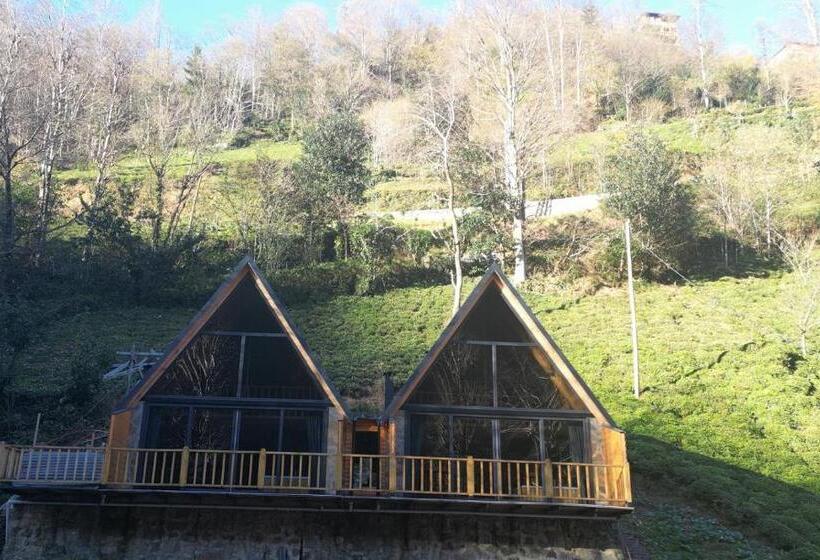 فندق Golden Rose Bungalov