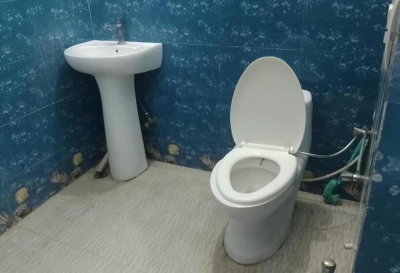 Pension Mohan Palace