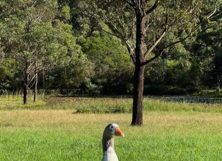 ホテル Bawley Grove