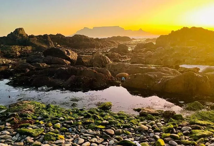 Majatalo Bellmatt   Table Mountain And Ocean View Guests Suites