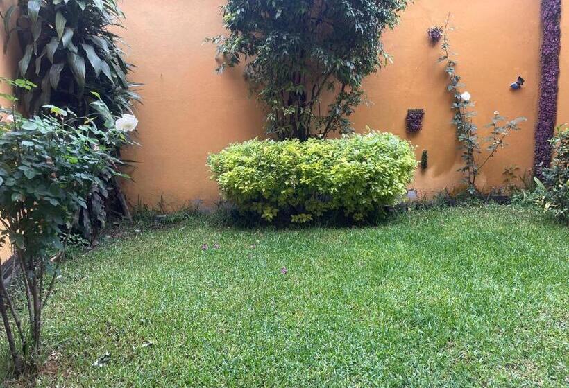 Пансион Habitación Con Baño Privado Exterior