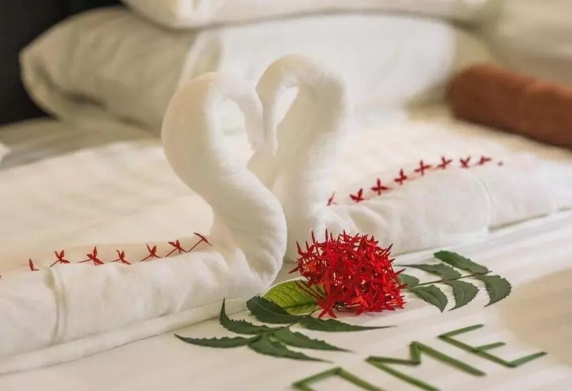 پانسیون Vegas Thoddoo Maldives