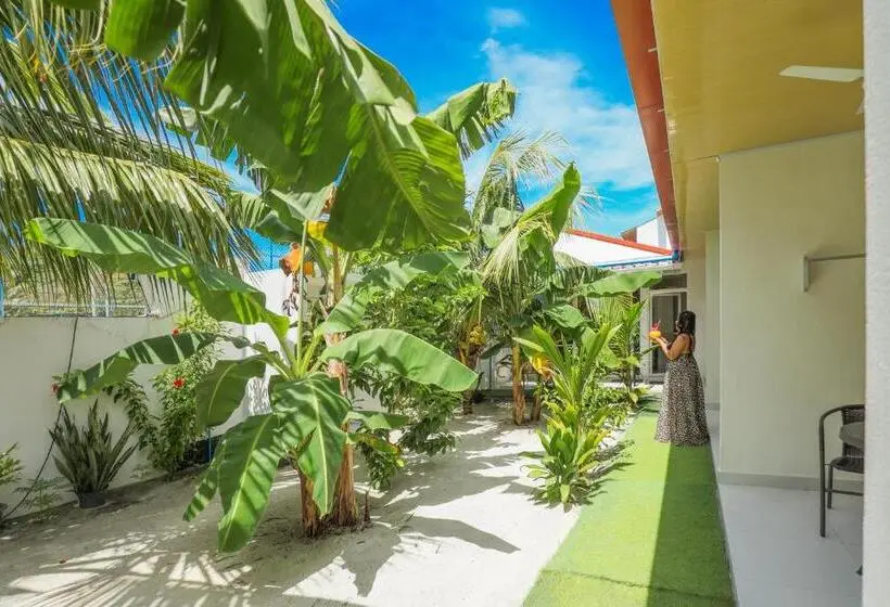 پانسیون Vegas Thoddoo Maldives